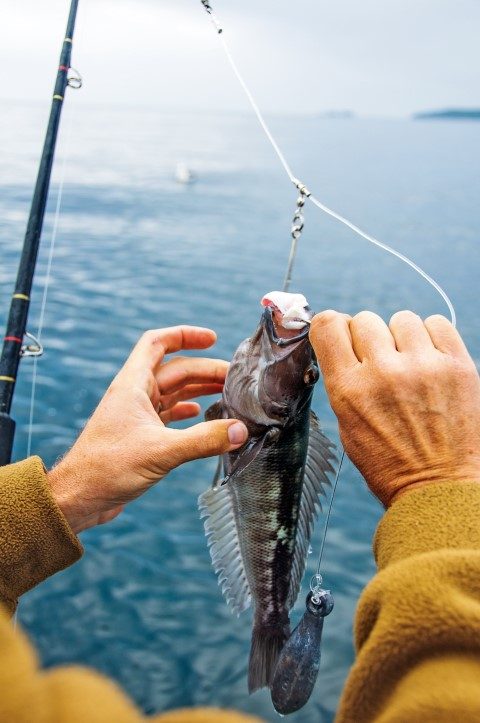 What size hook? ~ Boating NZ