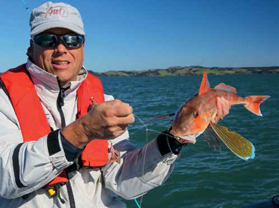 Fishing: Get to grips with gurnard - NZ Herald