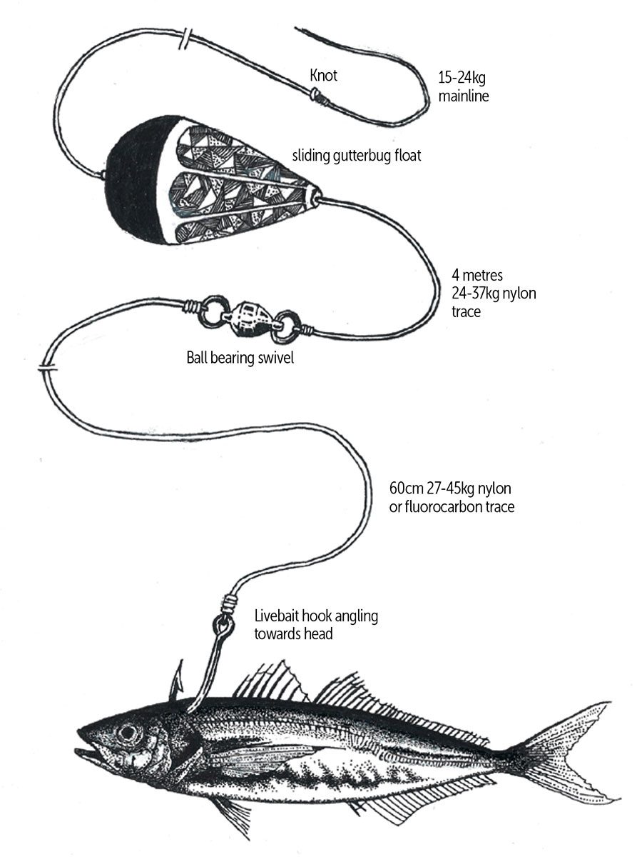 https://boatingnz.co.nz/wp-content/uploads/2023/05/Boating-Magazine-The-Catch-Rigging-baits-for-kingfish-Float-rig-with-yellowtail-koheru-or-slimy-mackerel.jpg